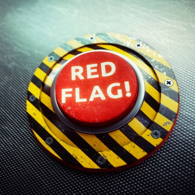 Red Task Flag PROJECT: IMPORTANT RED FLAGS AND RISK INDICATORS WITH REGARDS TO ...
