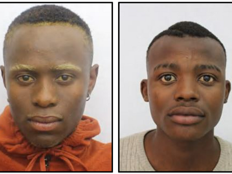 PROJECT: PERSONS OF INTEREST – ANELISIWE SHUMANI & NEO MPALWENI
