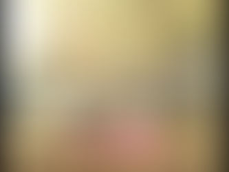 PROJECT: SERIOUS VIOLENT CRIMES AGAINST ANIMALS - UPDATE REGARDING COURT PROCEEDINGS FOR LEO (PART 7)