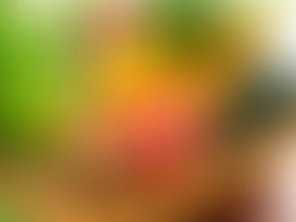 近日公開予定