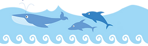 海