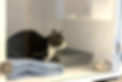 AdobeStock_599239808.jpeg
