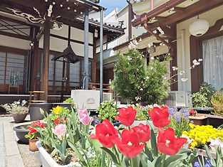 本堂の前の春の花壇