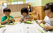 食育