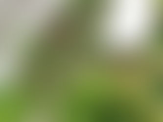 近日公開予定