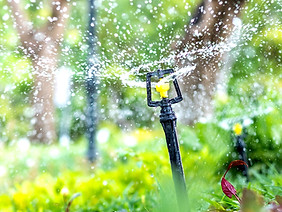 自動灌水システム導入