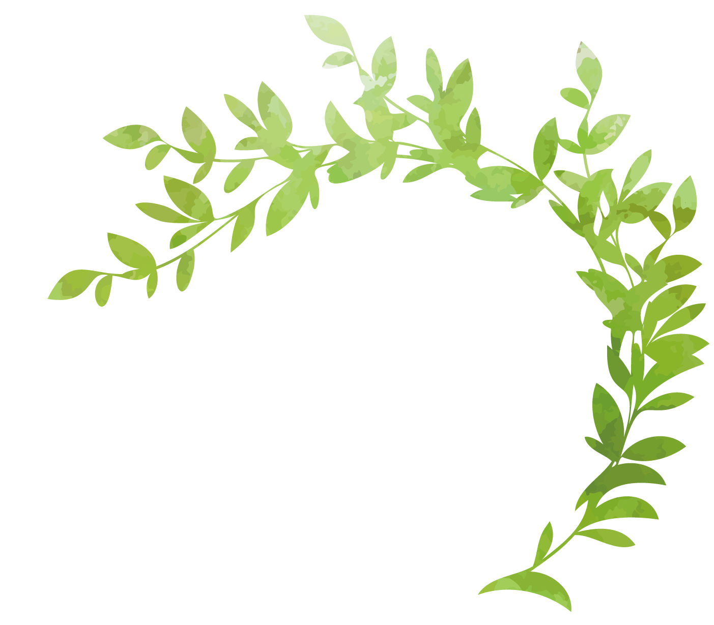 輪の葉っぱイラスト
