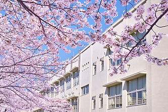 学校