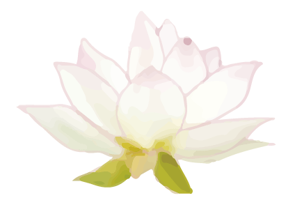 蓮