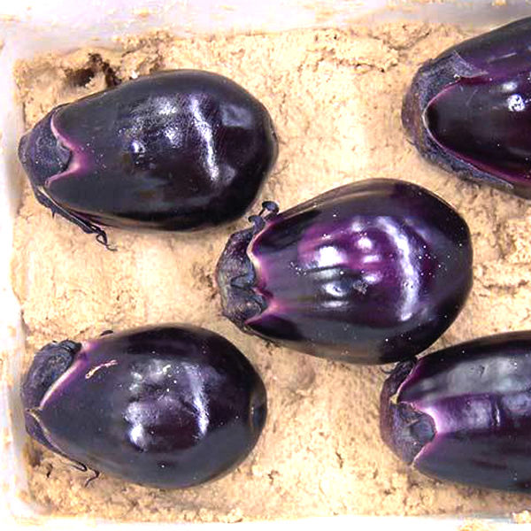 水茄子ぬか漬けセット