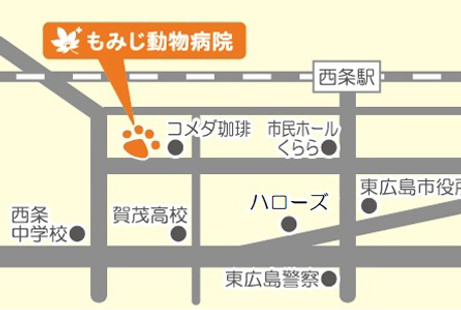 もみじ動物病院map