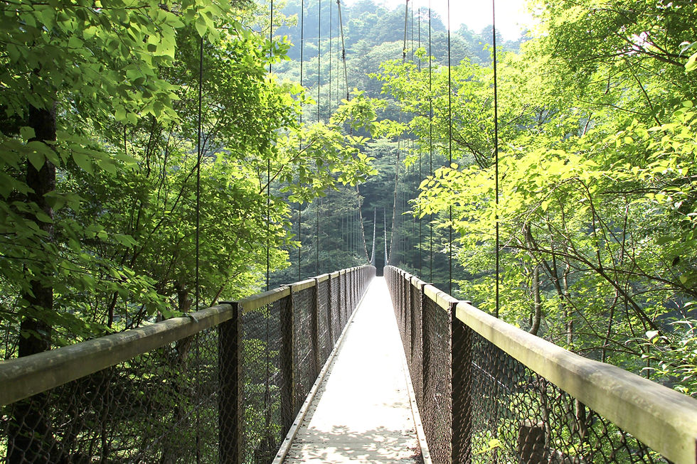 回顧の吊り橋