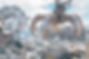 AdobeStock_295444105.jpeg