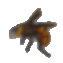 ハチ