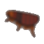 ノミ