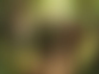 The 100-Rep Daily Calisthenics Challenge: Post-Christmas 30-Day Streak