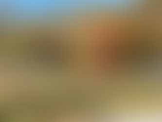 Aquitania, the state of affairs