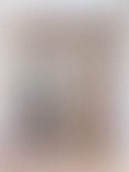 whte oak shaker cabinets, white dove shaker cabinets, oak flooring, custom crown molding, stainless appliances built-in, brass hardware