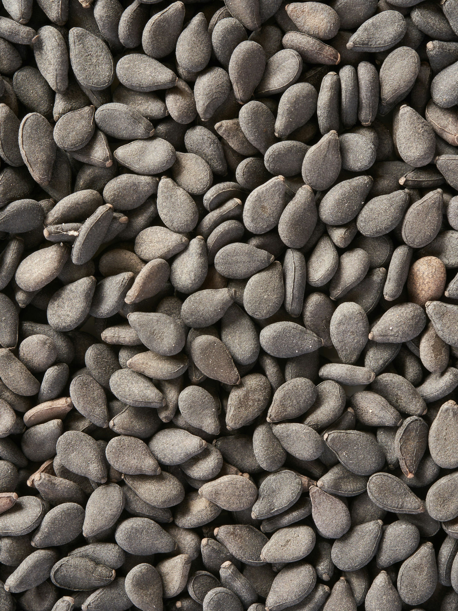 Watermelon Seeds