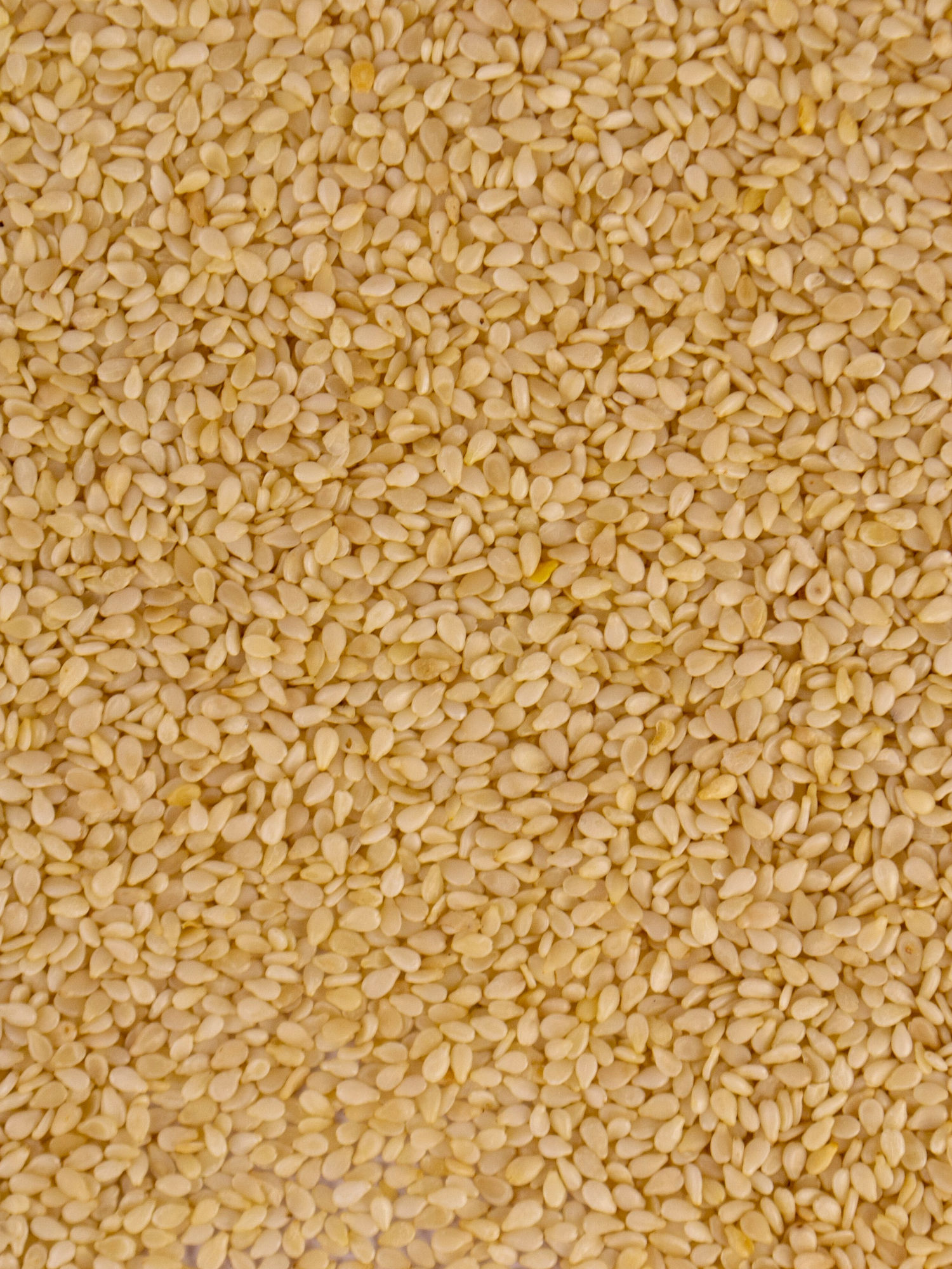 Sesame Seeds (Whole)