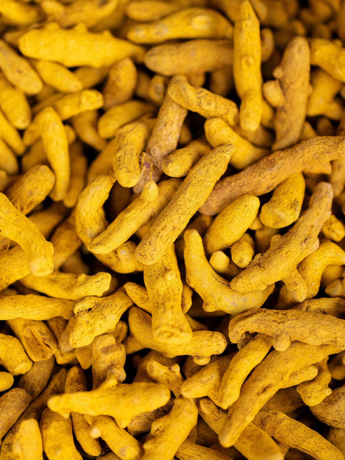 Turmeric (Whole)