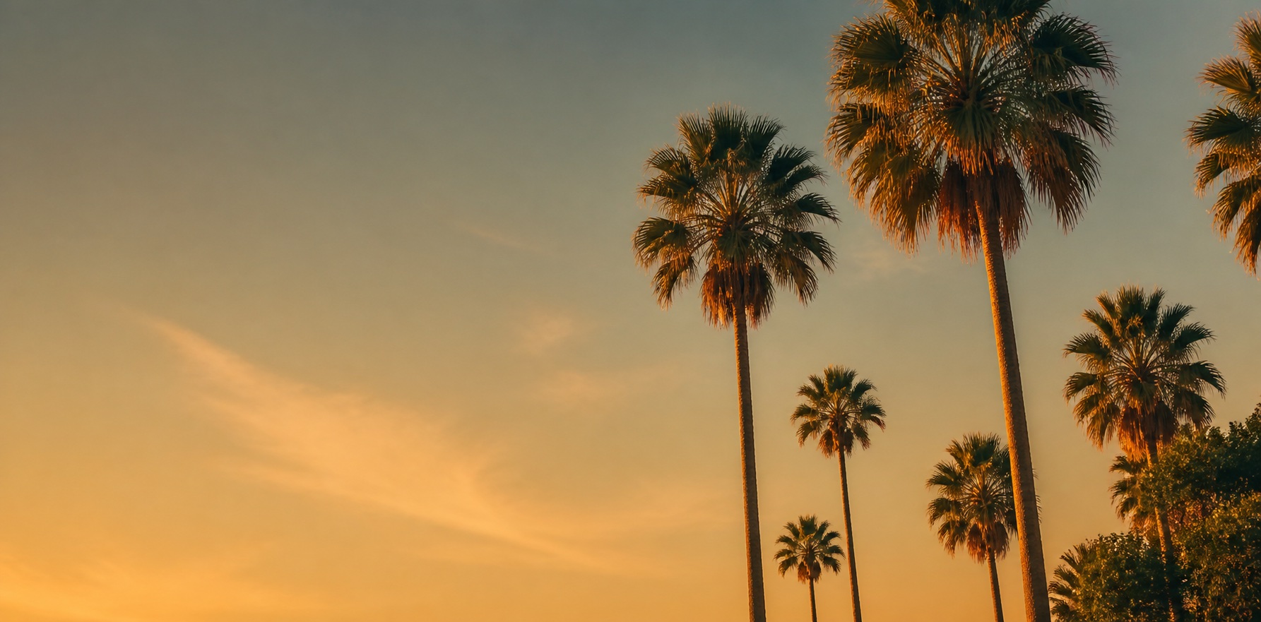 Southern California landscape