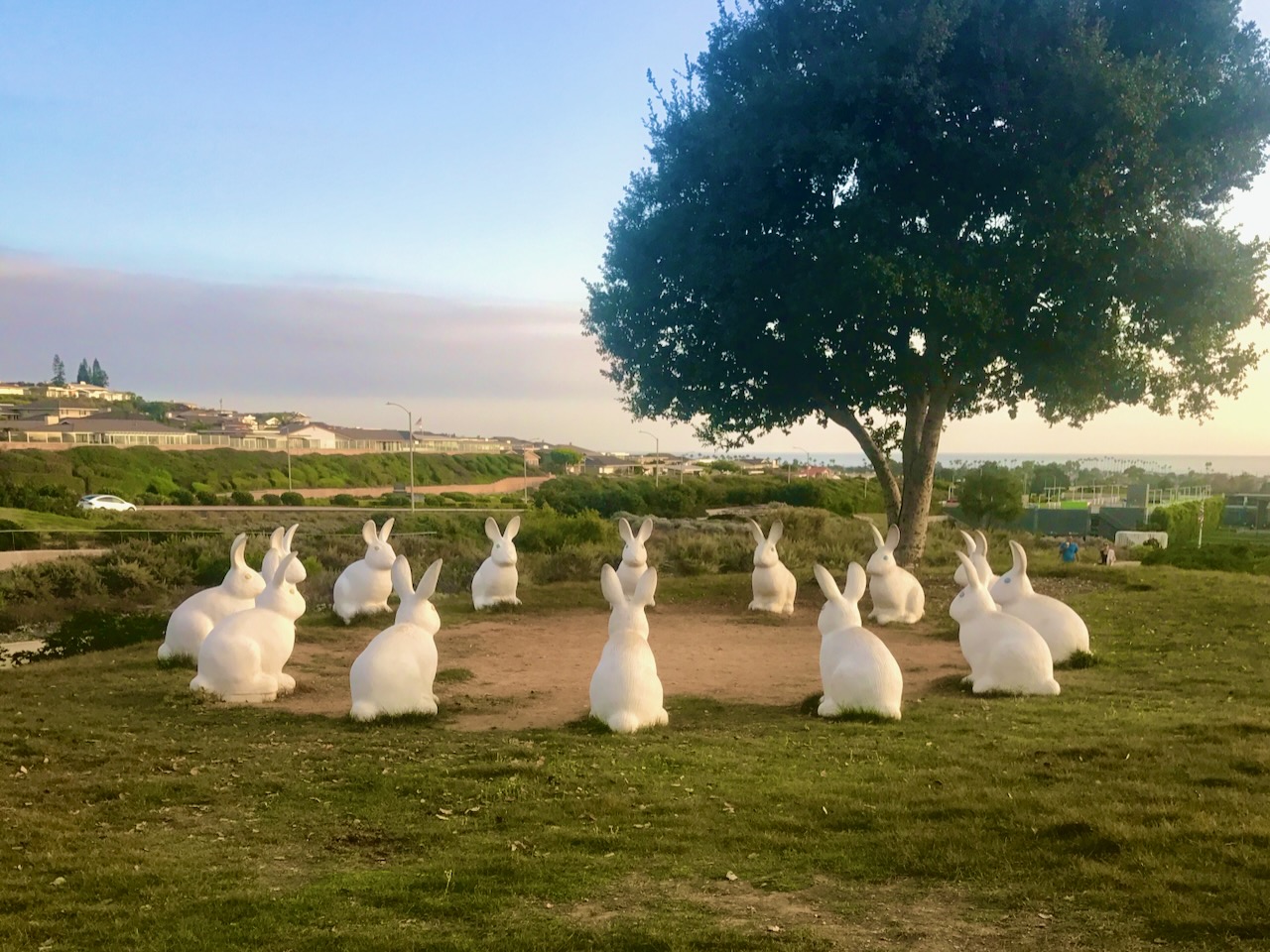 White rabbit sculptures arranged in a circle.