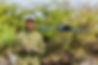 cec drone image.jpeg