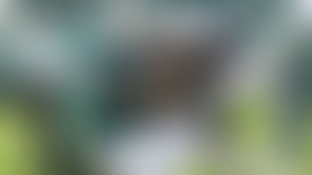 2019 NFL Playoffs: Seattle Seahawks @ Philadelphia Eagles O/U