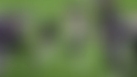 2020 NFL Week 4: Minnesota Vikings @ Houston Texans