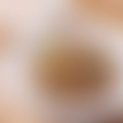 可利鍋廚房｜台式菜單｜麻油雞酒飯｜純香麻油