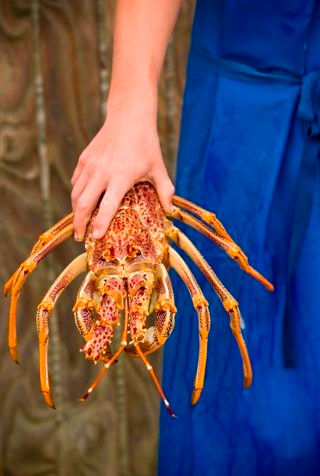 507 at the waves phillip island