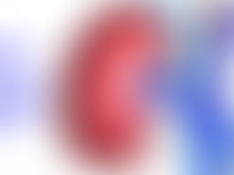 MEMAHAMI PENYAKIT BUAH PINGGANG KRONIK