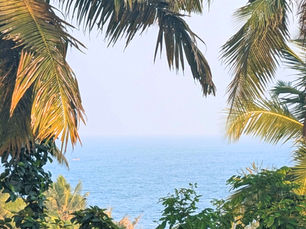 Погода, сезонность и прочие капризы океанского характера