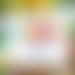 LuLu Flower Festival 2026 official poster