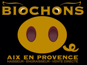 biochons19.jpeg