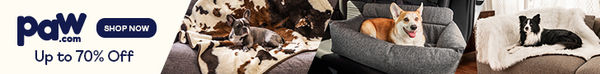 Paw-Ads_728x90_2.jpeg