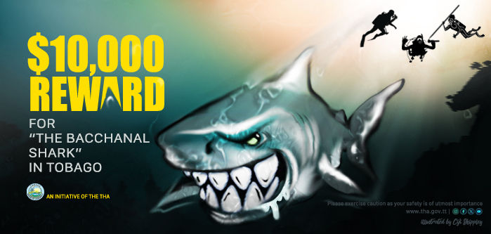Shark Bounty Ad
