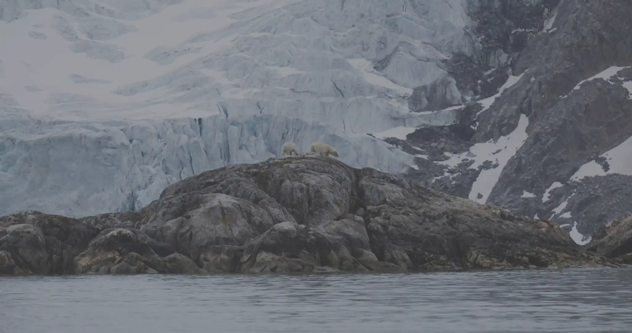 Grande découverte Svalbard.webp