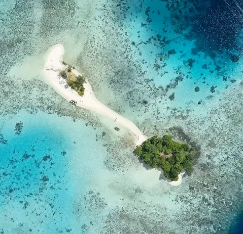 E.Bell_Tropical isle.webp
