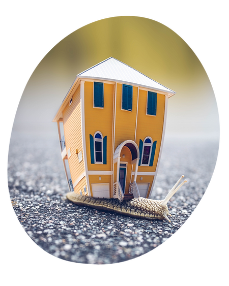 Untitled design (2).png