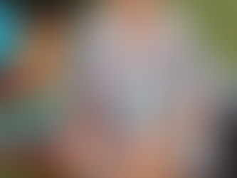 Back to School Mini Sessions