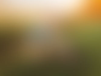 Pentasuglia Family // Martin Farm