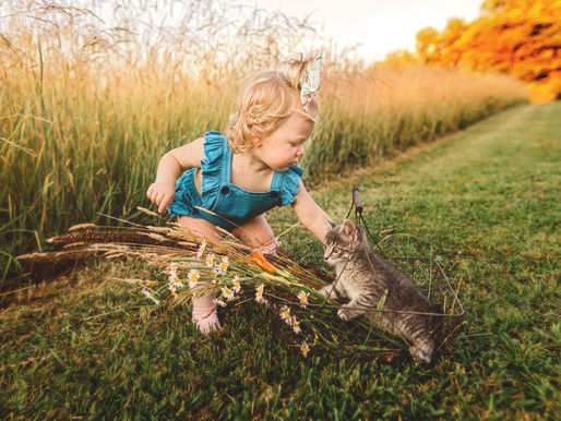 Pentasuglia Family // Martin Farm