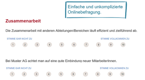 Puls Check Onlinebefragung