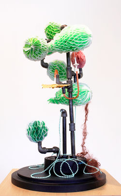 Transplants_2