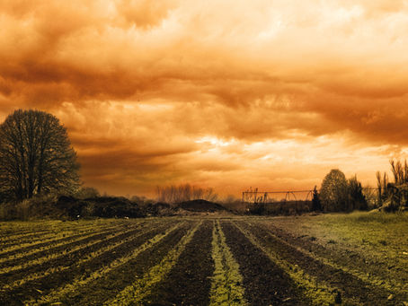 Weather Wildcards: What Could Go Wrong for U.S. Corn and Soybeans