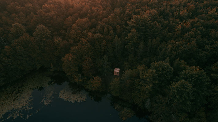 Copy of IMG_6485.JPG