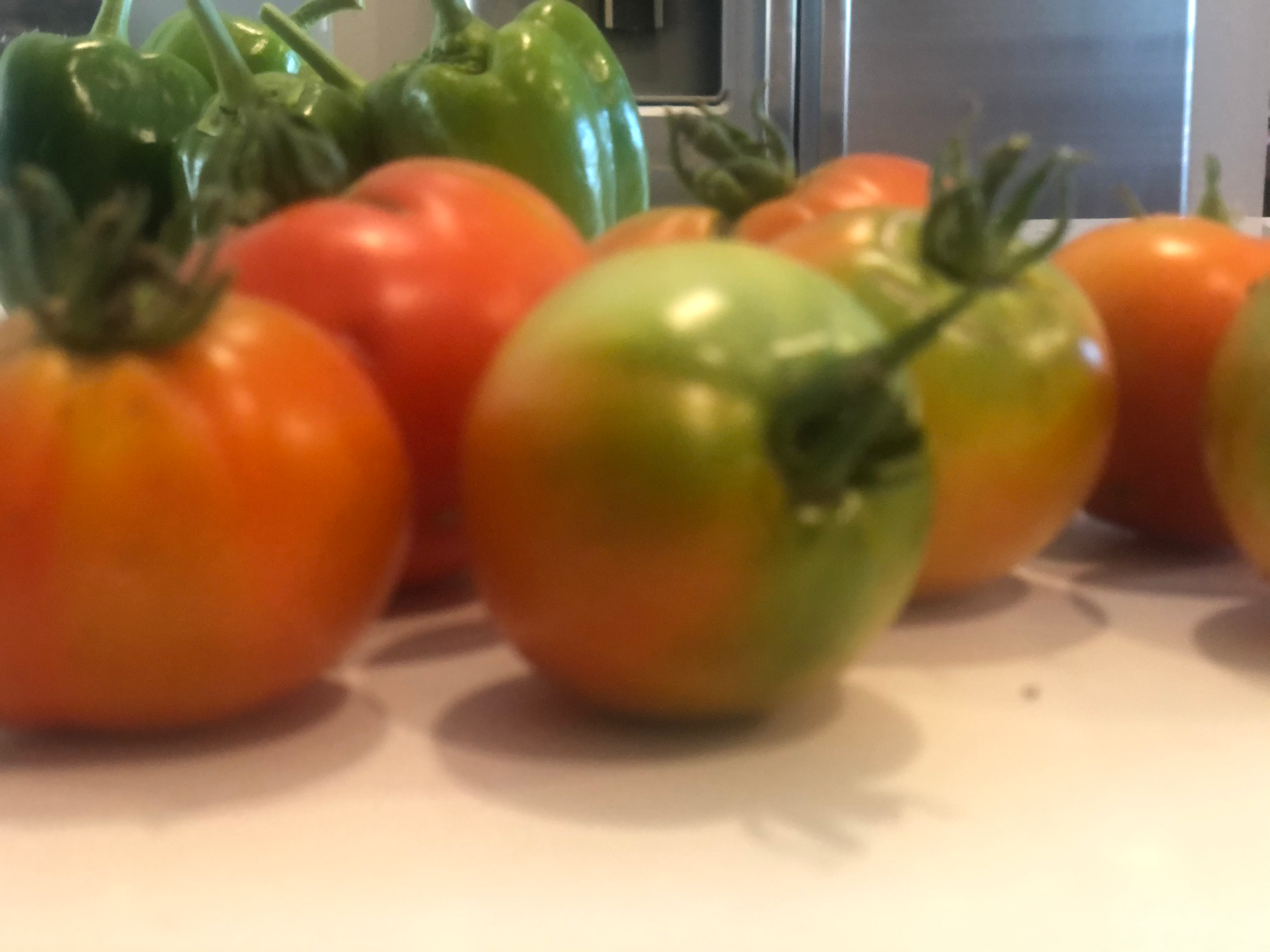 Arranged Food and Objects