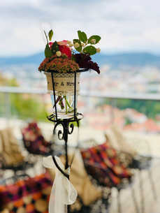 image00021.jpeg